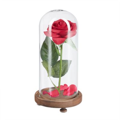 Die Schöne und das Biest Weihnachten Valentinstag Ewige Rose Blume LED Licht UK 