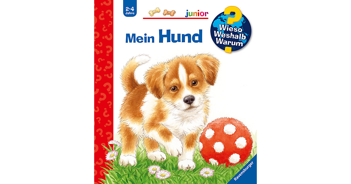 Buch - WWW junior Mein Hund