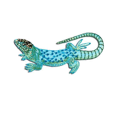 Aufnäher / Bügelbild - Echse Salamander Gecko Tier Nähsets für Kinder