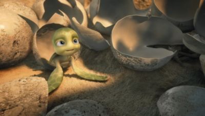 Dvd Sammys Abenteuer 2 Mytoys