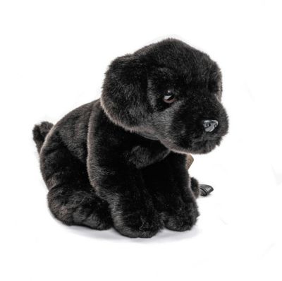 24cm hoch mit Leine Uni-Toys Neuware sitzender Hund Labrador  ca 