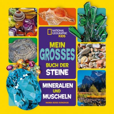 Image of Mein großes Buch der Steine, Mineralien und Muscheln