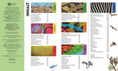 Wo in aller Welt? Tiere YN5006