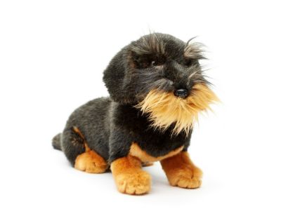 30cm lang Uni-Toys Hund Dackel Langhaardackel braun oder schwarz ca 