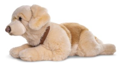 Plüschtier Plüsch Hund Golden Retriever 60 cm mit Geschirr Stoffhund Kuschelhund 