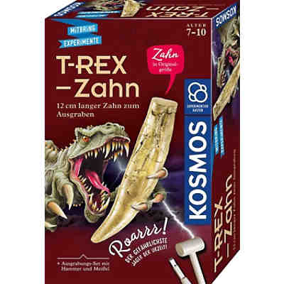 T-REX - Zahn