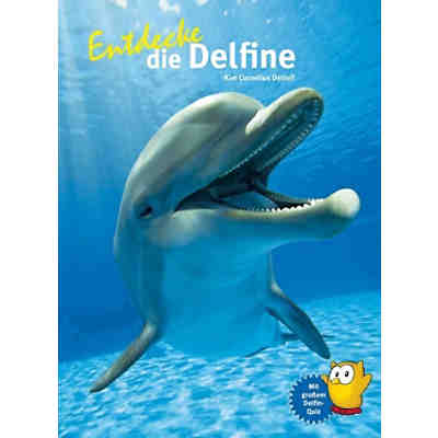 Entdecke die Delfine