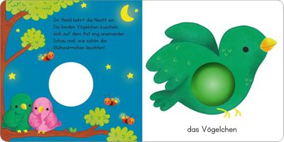 arsEdition Verlag Mein erstes Pop it Buch Frecher Frosch