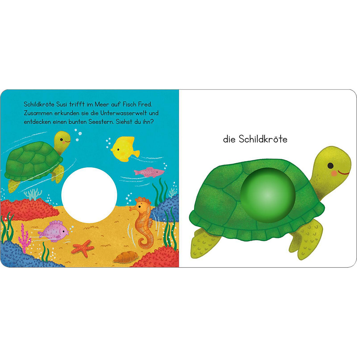 arsEdition Verlag Mein erstes Pop it Buch Frecher Frosch