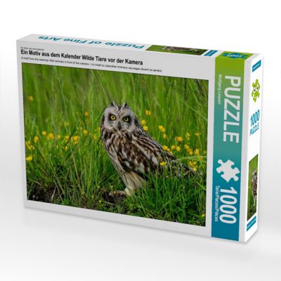 CALVENDO® Puzzle CALVENDO Puzzle Wilde Tiere vor der Kamera 1000 Teile Foto-Puzzle für glückliche Stunden