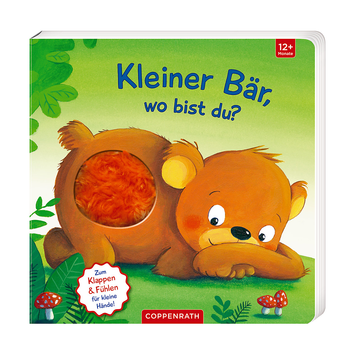 Coppenrath Verlag Mein erstes Guckloch-Fühlbuch: Kleiner Bär wo bist du?