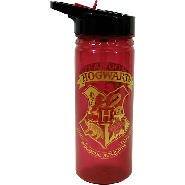 Trinkflasche Harry Potter, 600 ml