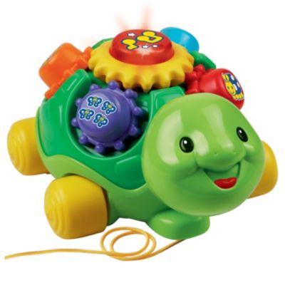 Lernspaß Schildkröte