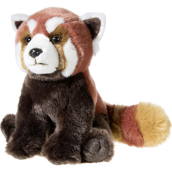 Bedrohte Tiere roter Panda