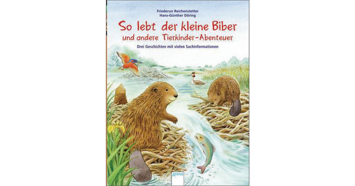 Buch - So lebt der kleine Biber und andere Tierkinder-Abenteuer, Sammelband