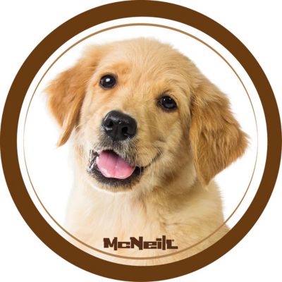 McNeill McAddy Motivmagnet Haustiere Hund braun