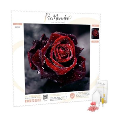 Diamond Painting Rote Rose im PicMondoo myToys