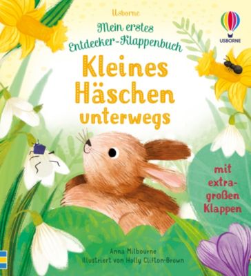 Image of Buch - Mein erstes Entdecker-Klappenbuch: Kleines Häschen unterwegs