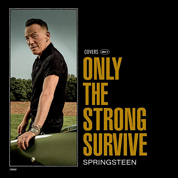 CD Bruce Springsteen - Only the Strong Survive