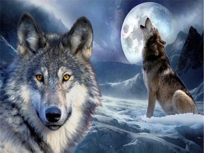 Mireta-Kreativ PB229) Diamond Painting Vollbild 30x40 mit runden Steinen WOLF