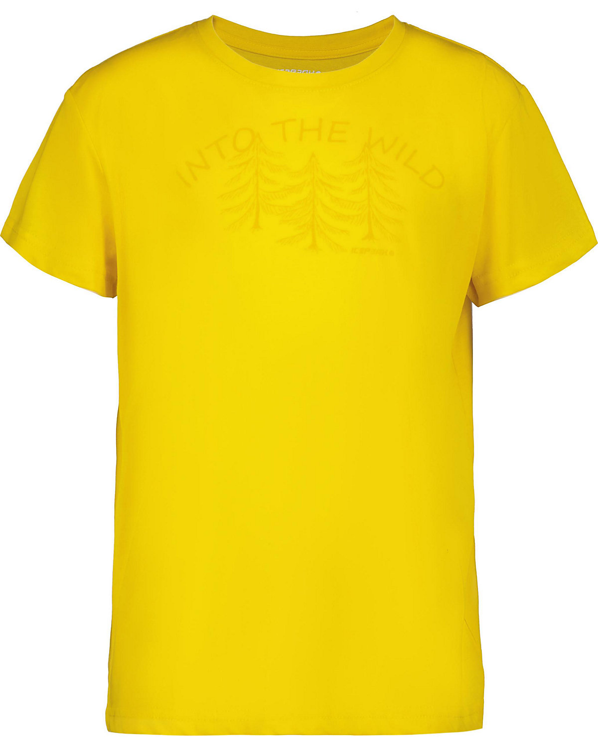 ICEPEAK T-Shirt LEADVILLE für Jungen