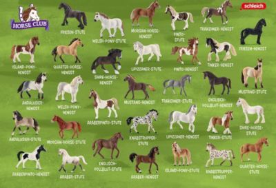 Kartenspiel Schleich Pferdepaare, Schmidt Spiele | myToys