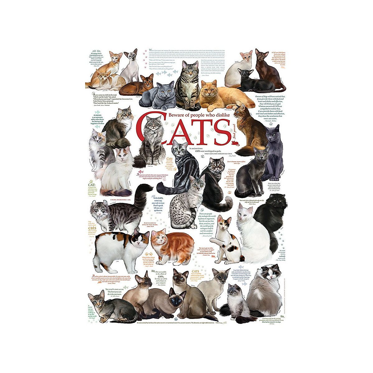 puzzle 1000 Teile Cat Quotes
