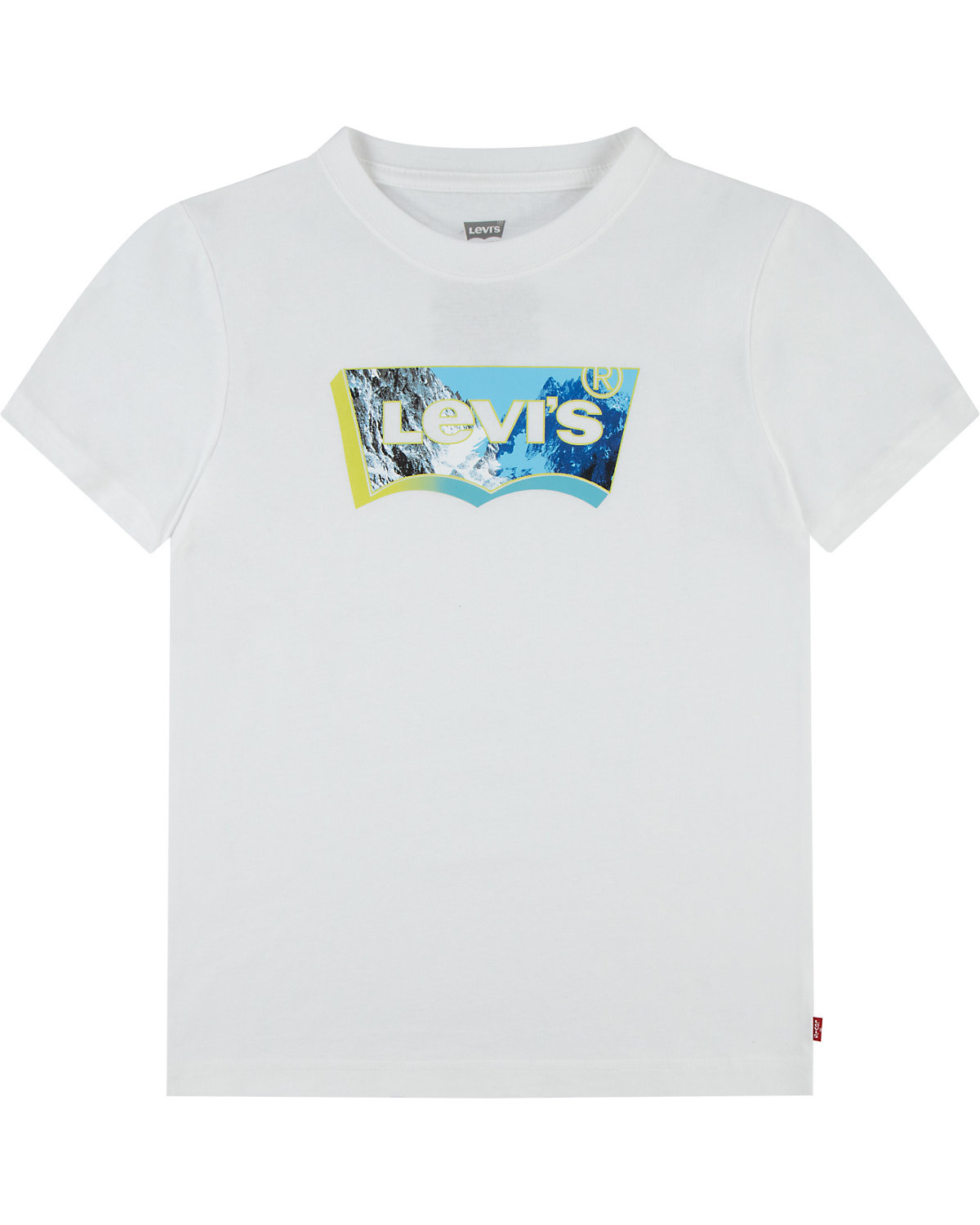Levi's® Kids T-Shirt LANDSCAPE BATWING für Jungen Organic Cotton