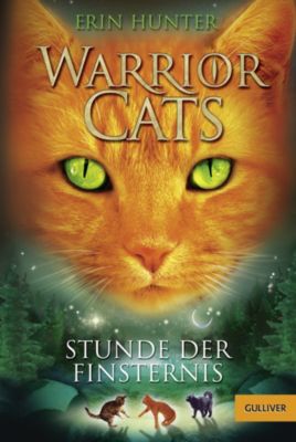 Buch - Warrior Cats: Stunde der Finsternis, Band 6