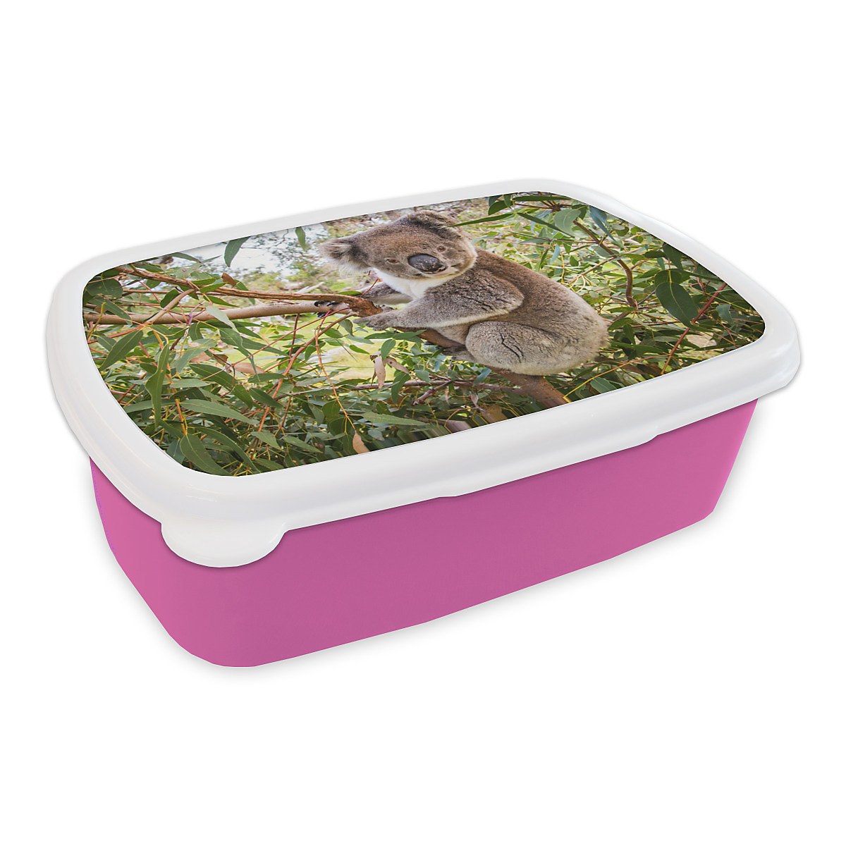 MuchoWow Lunchbox Brotdose Koala Blätter Äste Tiere