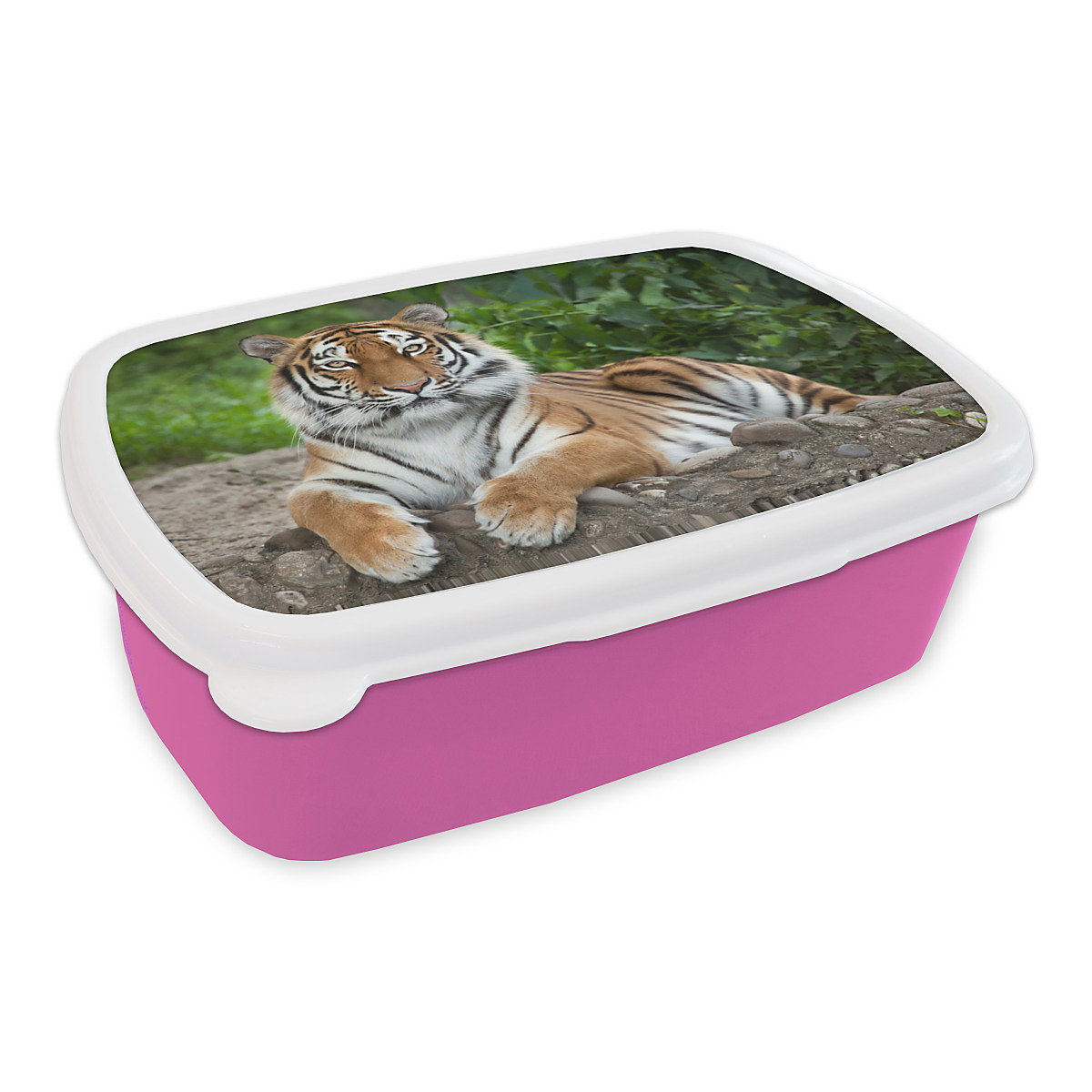 MuchoWow Lunchbox Brotdose Tiger Natur Steine Tiere