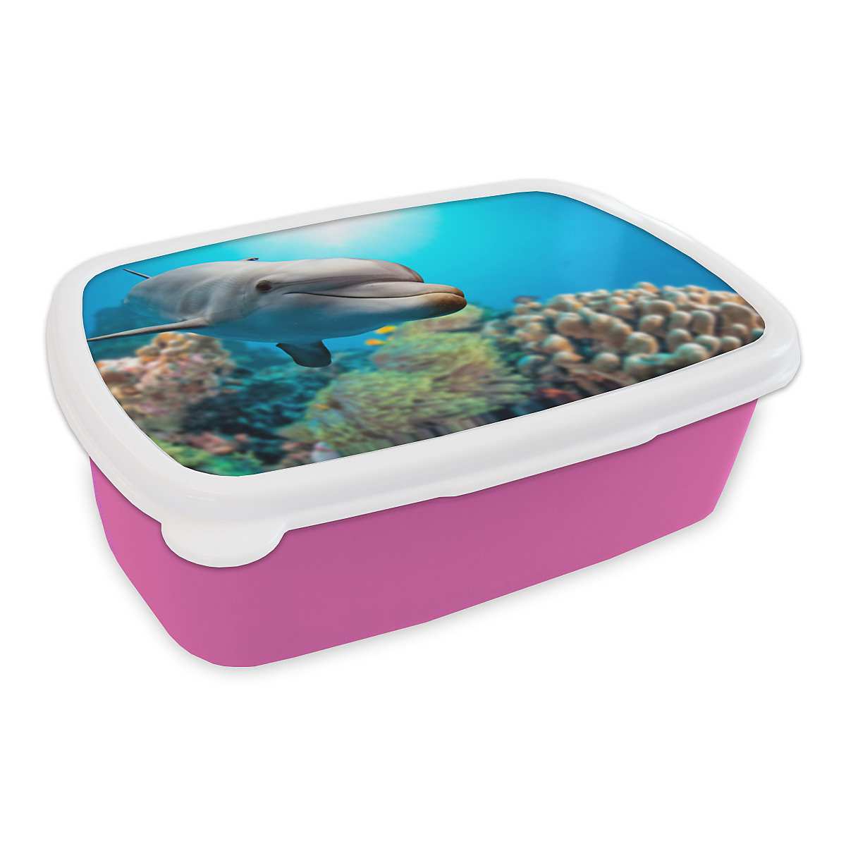 MuchoWow Lunchbox Brotdose Delfin Meer Koralle Tiere