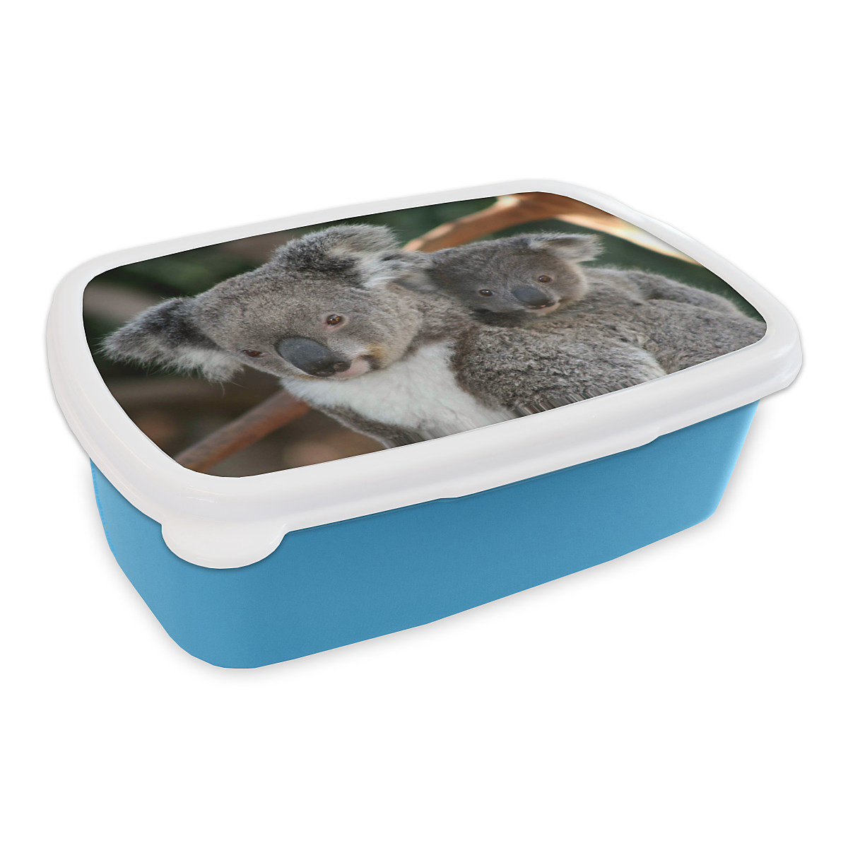 MuchoWow Lunchbox Brotdose Koalas Vater Kind Tiere