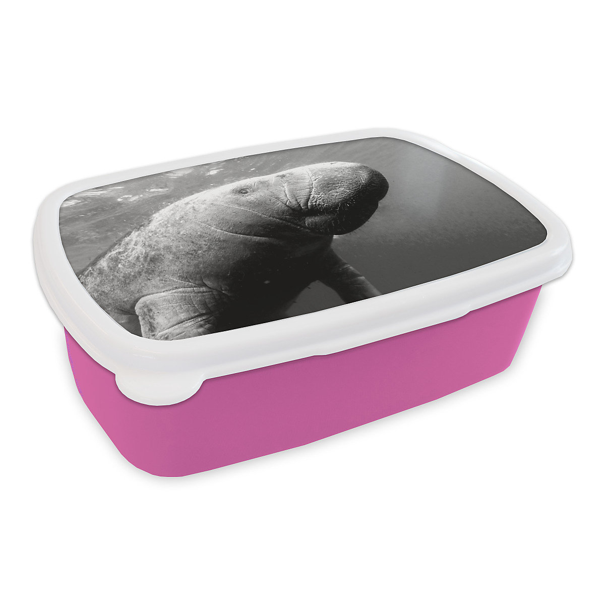 MuchoWow Lunchbox Brotdose Unterwasserfoto Seekuh schwarz und weiß Tiere MuchoWow Lunchbox Brotdose Unterwasserfoto Seekuh schwarz und weiß Tiere