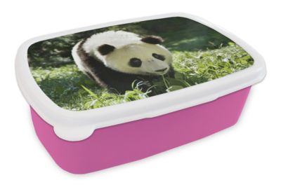 MuchoWow Lunchbox Brotdose Panda Gras Tiere