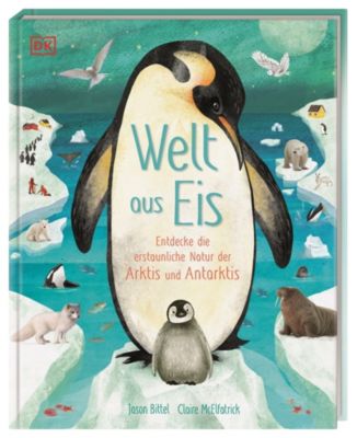 Image of Buch - Welt aus Eis