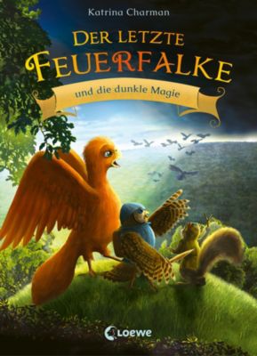 Image of Buch - Der letzte Feuerfalke und die dunkle Magie (Band 6)
