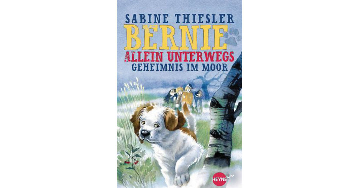 Buch - Bernie allein unterwegs - Geheimnis im Moor