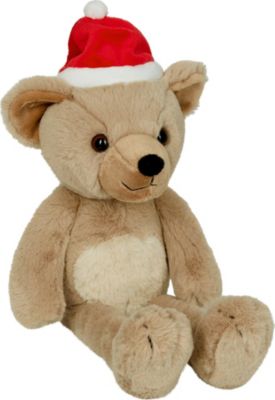 Image of Bär Luis - Lasst uns froh & munter sein bunt