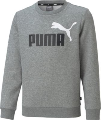 PUMA Teen Sweatshirts ESS+ 2 Col Big Logo Crew FL B M