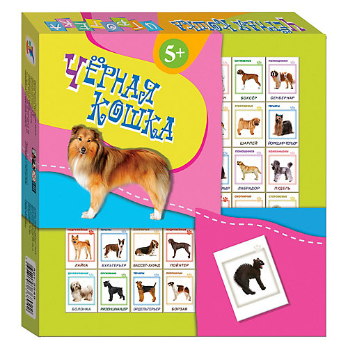 Игротека "Черная кошка", Дрофа-Медиа от Дрофа-Медиа