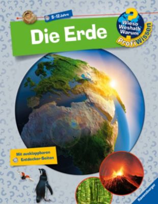 Image of Buch - WWW Profiwissen: Die Erde