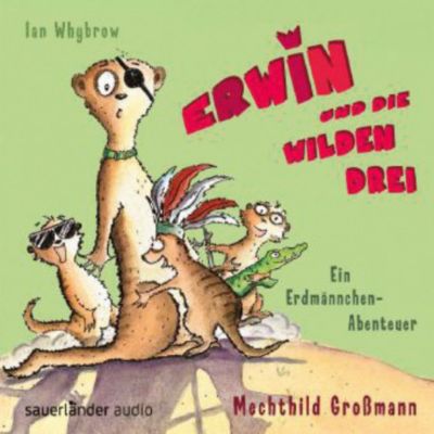 Erwin und die wilden Drei, 2 Audio-CDs Hrbuch
