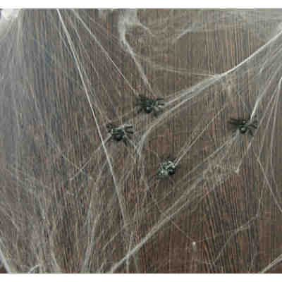 Spinnengewebe mit Spinnen