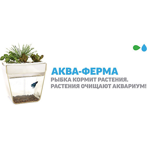 Акваферма Назад к истокам от Назад к истокам
