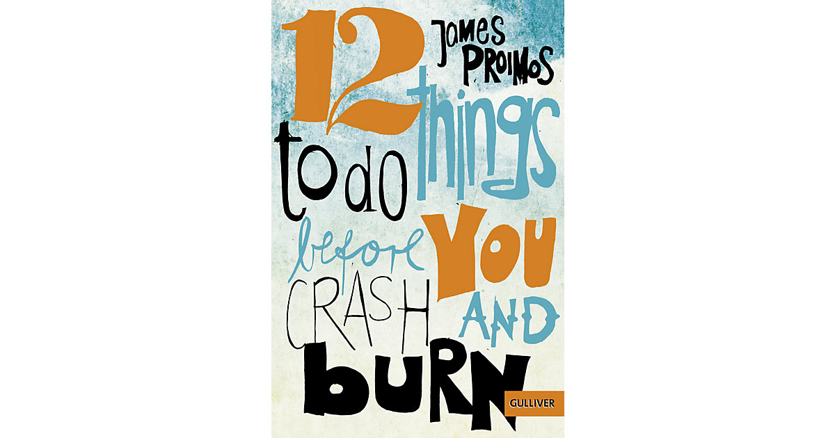 Buch - 12 things to do before you crash and burn