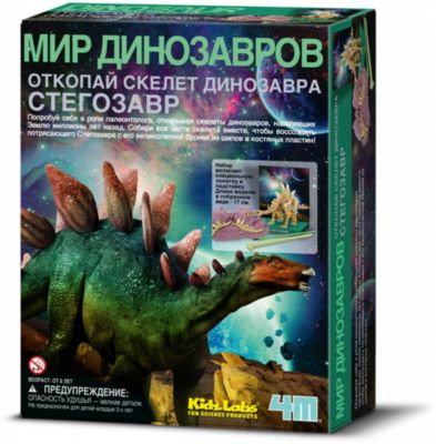 Скелет Стегозавра, 4М