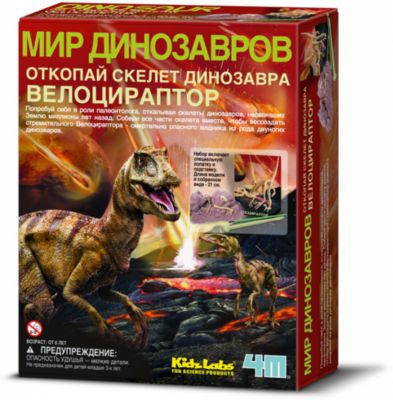 Скелет Велоцираптора, 4М