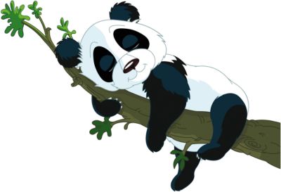 Панда рисунок на белом фоне