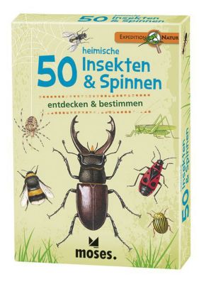 Buch - Expedition Natur: 50 heimische Insekten & Spinnen entdecken & bestimmen